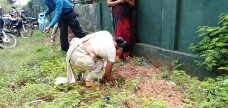 Tree planting program implemented in the office premises